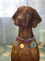 Тина Трейдинг Ютта